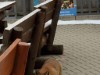 Bild 26 - Ude