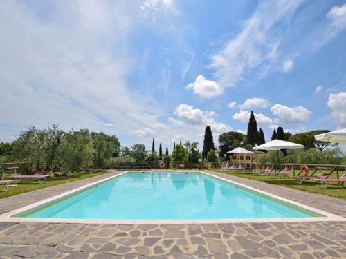 Sommerhus - 24 personer -  - Via Vignacce - 52047 - Marciano Della Chiana