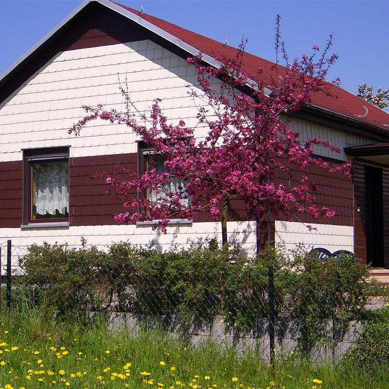 Sommerhus - 3 personer -  - Burgstraße - 99880 - Waltershausen Ot Fischbac