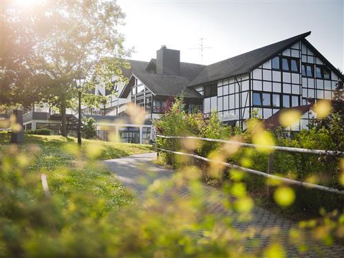 Ferielejlighed - 7 personer -  - Im Grafenwald - 54550 - Daun