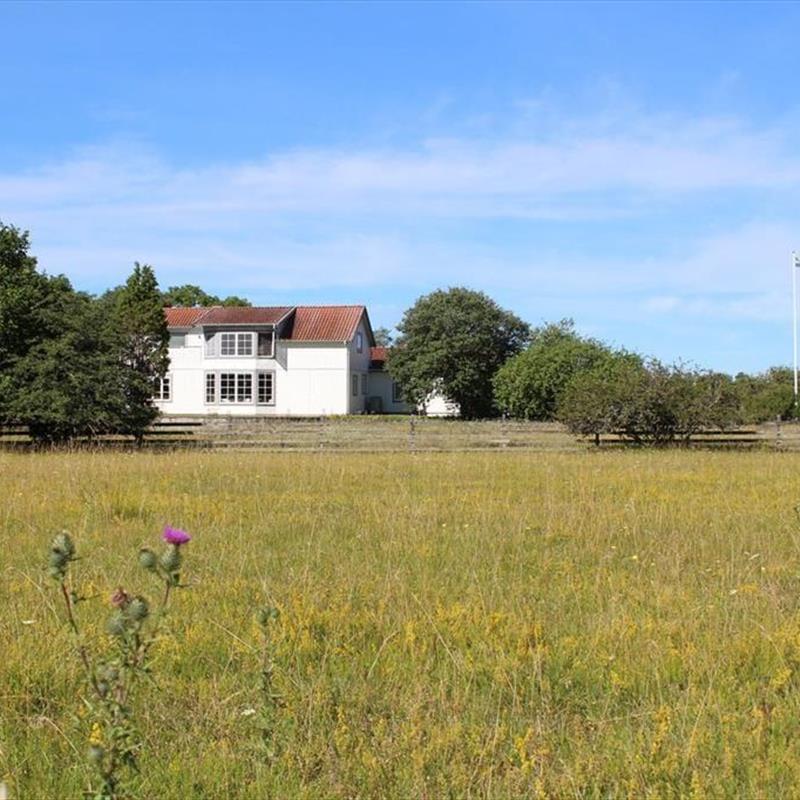 Sommerhus - 14 personer -  - Rute Sofiero - Visby - 62458 - Lärbro
