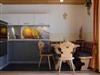 Bild 17