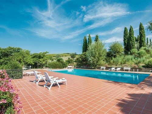 Ferienhaus - 4 Personen -  - Loc. Elatera - Trequanda - 53048 - Trequanda Si