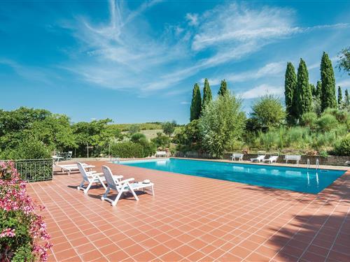 Ferienhaus - 4 Personen -  - Loc. Elatera - Trequanda - 53048 - Trequanda Si