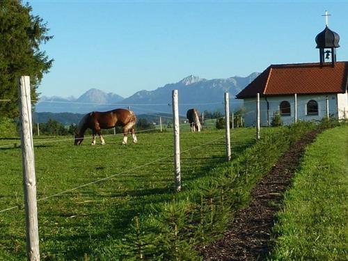 Sommerhus - 2 personer -  - 87663 - Lengenwang