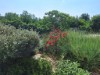 Bild 28 - Aussen