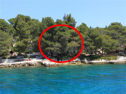 Ferielejlighed - 2 personer -  - Otok Lavdara b.b. - 23281 - Sali