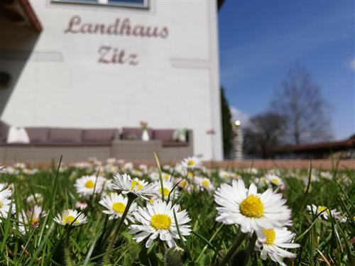 Ferieleilighet - 4 personer -  - Ratschfeld - 8853 - Ranten