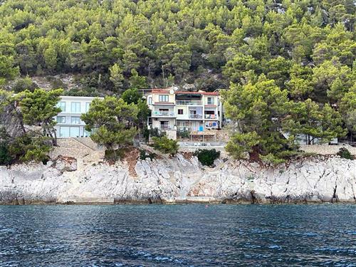 Holiday apartment - 3 persons -  - Danca b.b., Prižba - 20271 - Blato