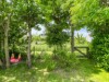 Bild 24