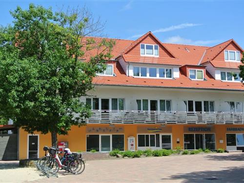 Ferieleilighet - 1 person -  - 38524 - Sassenburg