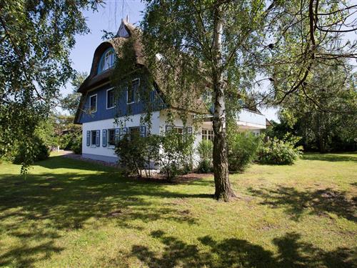 Ferieleilighet - 3 personer -  - In de Wischen - 18375 - Wieck