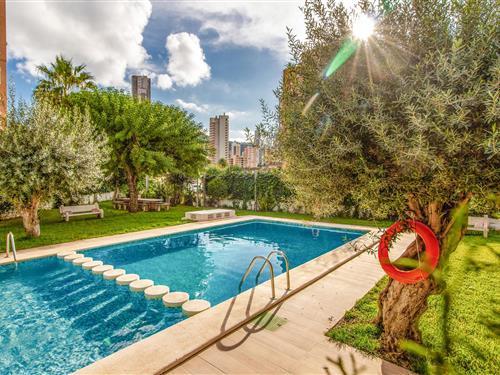 Ferienhaus - 4 Personen -  - Avenida Juan Fuster Zaragoza - 03503 - Benidorm