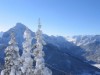 Bild 17