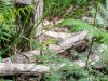 Image 23 - Outside