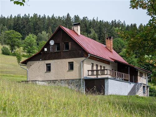 Feriehus / leilighet - 12 personer -  - Vítkovice - 512 38