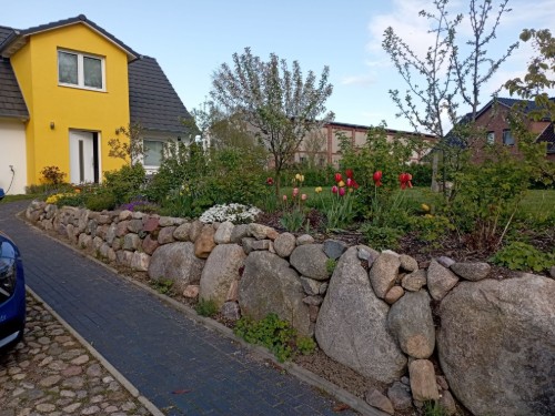 Fritidshus - 6 personer -  - 23974 - Boiensdorf
