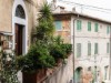 Image 7 - Outside
