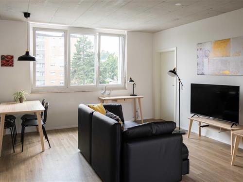 Semesterhus/Semesterlägenhet - 4 personer -  - Schweizersbildstrasse - 8207 - Schaffhausen