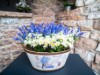 Image 29