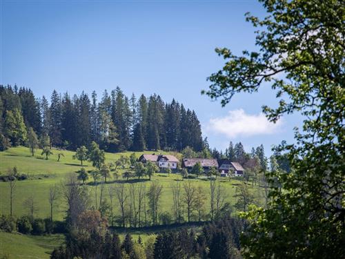 Semesterhus/Semesterlägenhet - 2 personer -  - Mitterweng - 4582 - Edlbach