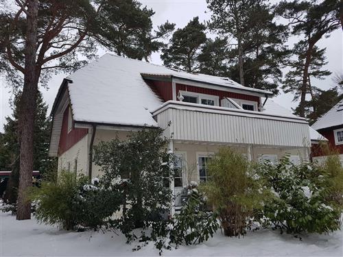 Holiday apartment - 4 persons -  - Waldsiedlungsweg - 18375 - Prerow