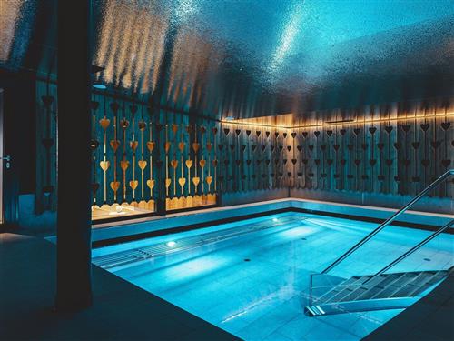 Feriehus - 8 personer -  - Hafnergasse - 5700 - Zell Am See