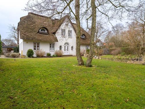 Sommerhus - 4 personer -  - Böhler Landstraße - 25826 - St. Peter-Böhl