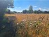Bild 28