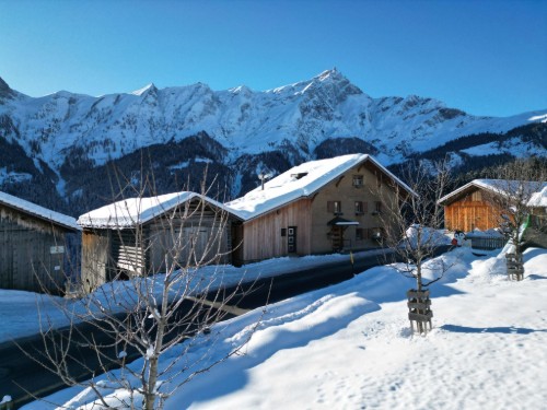 Holiday apartment - 5 persons -  - Tschappina - 7428
