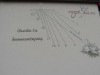 Billede 25