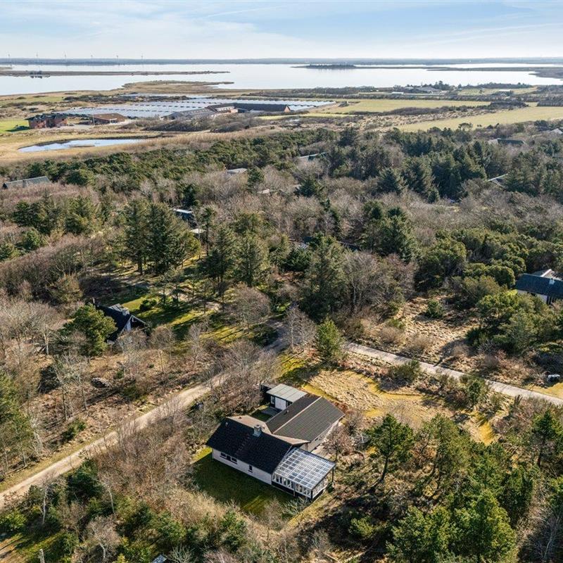 Ferienhaus - 6 Personen -  - Tranebærvej - Söndervig - 6950 - Ringköbing