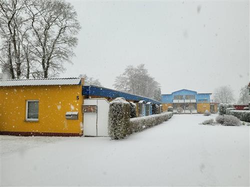 Ferieleilighet - 4 personer -  - Alte - 17454 - Zinnowitz