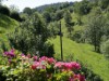 Bilde 3
