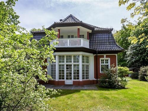 Ferielejlighed - 2 personer -  - Dorfstraße - 18347 - Ostseebad Ahrenshoop