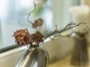 Bild 61