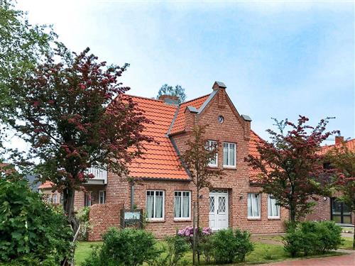 Ferienhaus - 4 Personen -  - Badallee - 25826 - St. Peter-Ording