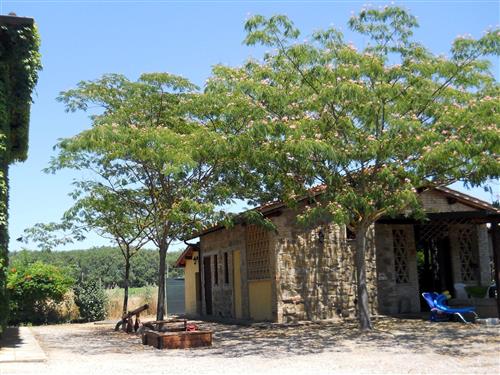 Holiday home - 2 persons -  - Torgiano - 06089