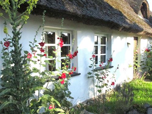 Ferielejlighed - 3 personer -  - Labömitzer Str. - 17429 - Benz