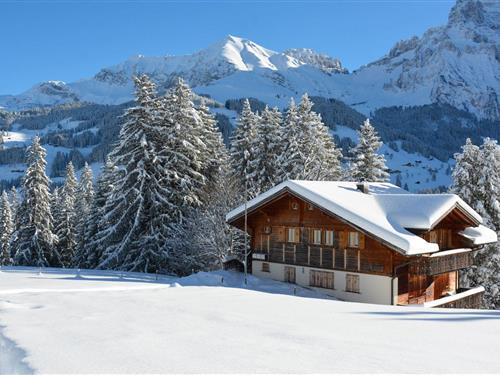 Holiday apartment - 4 persons -  - Schlegleistrasse - 3715 - Adelboden