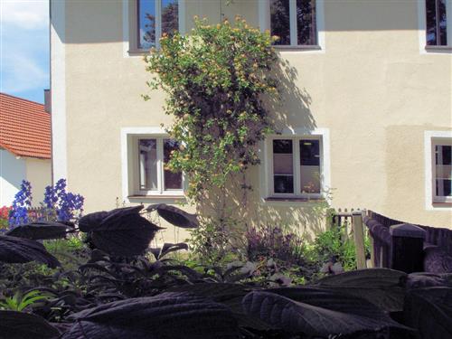 Ferieleilighet - 5 personer -  - Kaiserstraße - 94556 - Neuschönau