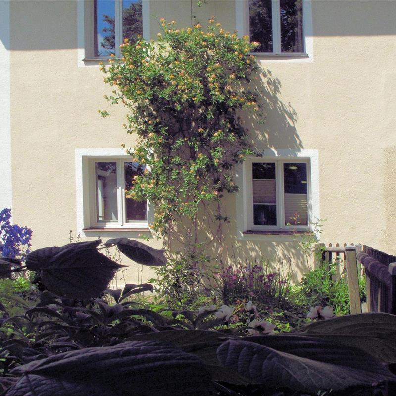 Ferielejlighed - 5 personer -  - Kaiserstraße - 94556 - Neuschönau