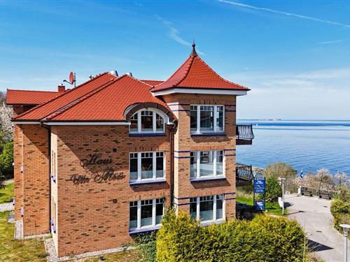 Holiday apartment - 4 persons -  - zum Hafen - 18551 - Lohme