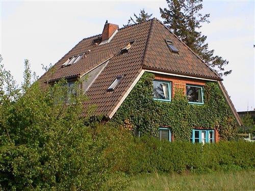 Ferienwohnung - 2 Personen -  - Strunwai - 25946 - Nebel