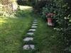 Bilde 2