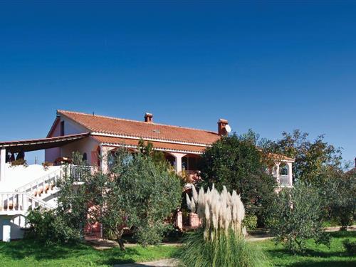 Holiday apartment - 4 persons -  - Plekuti - Pula-Sisan - 52204 - Liznjan