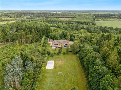 Sommerhus - 24 personer -  - Sangildvej - 7470 - Karup
