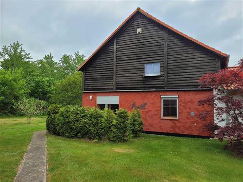 Ferielejlighed - 4 personer -  - Zansebuhrer Chaussee - 18442 - Niepars