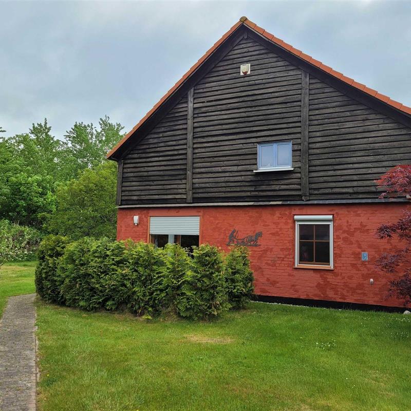 Ferielejlighed - 4 personer -  - Zansebuhrer Chaussee - 18442 - Niepars