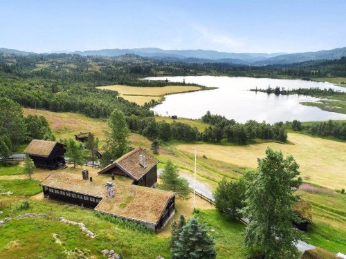 Holiday home - 13 persons -  - Angreveien - Hjartdal - 3844 - Åmotsdal